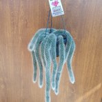 Kaktus (Cleistocactus colademononis) ´MONKEY TAIL´ - dĺžka 30-40 cm. kont. C1L - závesný kvetináč